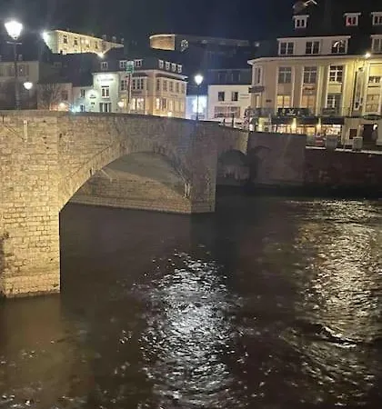 Apartament Loft De Charme Avec Terrasse Et Jardin Au D'asfeld Sedan